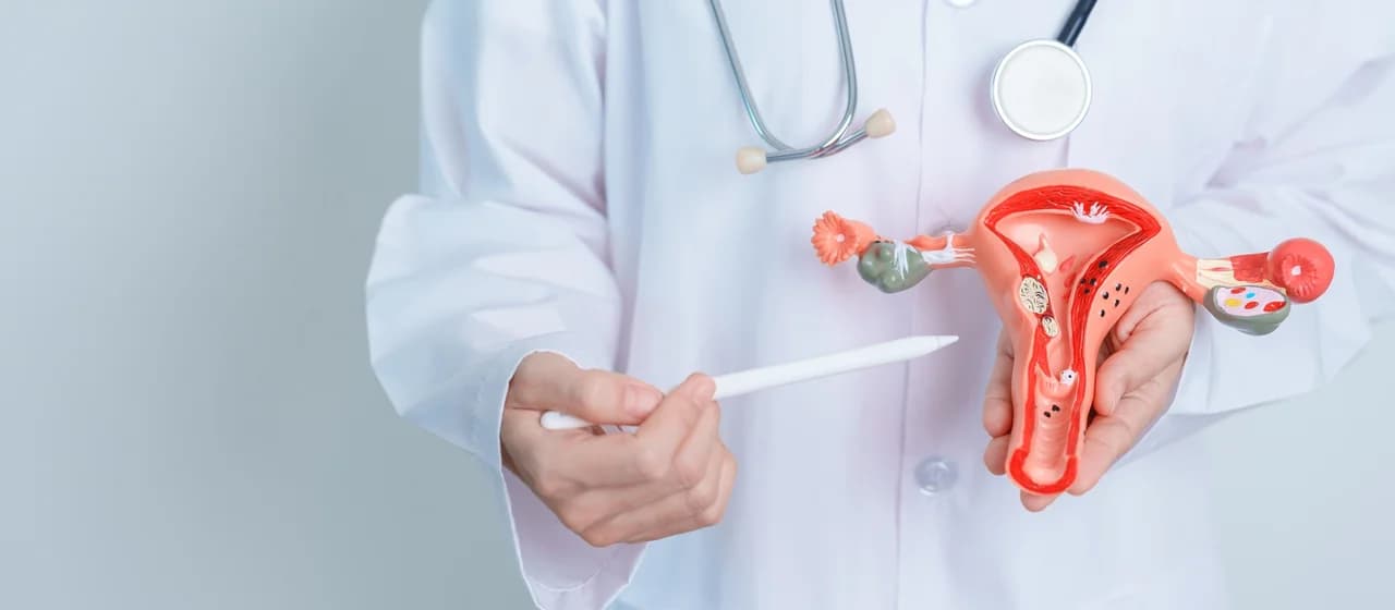 Frauengesundheit Gynäkologie